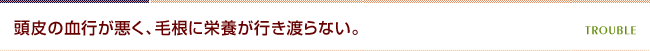 頭皮の血行が悪く、毛根に栄養が行き渡らない。