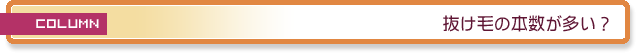 抜け毛の本数が多い？