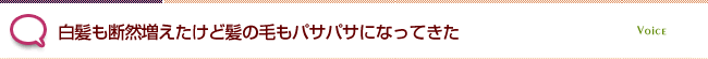 白髪も断然増えたけど髪の毛もパサパサになってきた